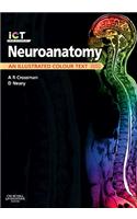 Neuroanatomy