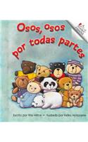 Osos, Osos Por Todas Partes