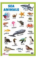 Sea Animals Educational Chart