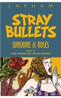 Stray Bullets: Sunshine & Roses Volume 3