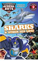 Transformers Rescue Bots: Training Academy: Sharks & Other Sea Life!