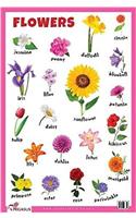 Flowers Educational Chart