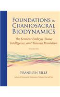 Foundations in Craniosacral Biodynamics, Volume Two