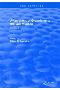 Attachment Of Organisms To The Gut Mucosa