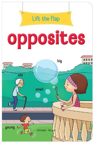 Lift the Flap Opposites Early Learning Novelty for Children