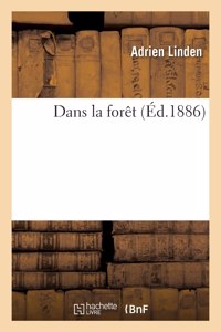 Dans la forêt