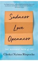 Sadness, Love, Openness