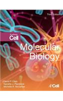 Molecular Biology