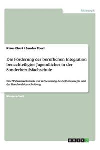 Die Förderung der beruflichen Integration benachteiligter Jugendlicher in der Sonderberufsfachschule