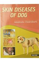 Skin Diseases of Dog