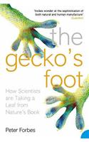 The Gecko’s Foot