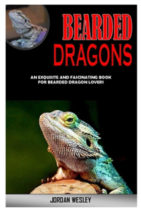 Bearded Dragons