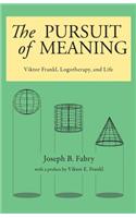 Pursuit of Meaning