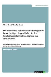 Die Förderung der beruflichen Integration benachteiligter Jugendlicher in der Sonderberufsfachschule. Exposé zur Masterarbeit