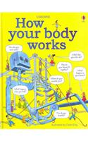 How your body works