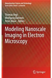 Modeling Nanoscale Imaging in Electron Microscopy