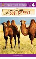 Life in the Gobi Desert