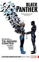 Black Panther: A Nation Under Our Feet Book 3