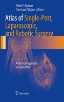 Atlas of Single-Port, Laparoscopic, and Robotic Surgery