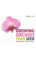 Growing Orchids from Seed