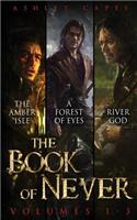 Book of Never