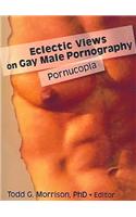 Eclectic Views on Gay Male Pornography