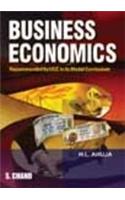 Business Economics