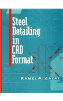 Steel Detailing in CAD Format