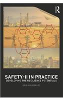 Safety-II in Practice