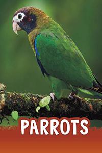 Parrots