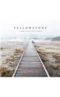 Yellowstone