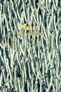 Ralph Mueller: WUM