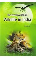 Preservation of Wildlife in India