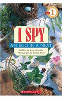 I Spy an Egg in a Nest