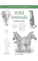 Art of Drawing: Wild Animals