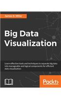 Big Data Visualization