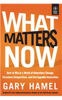WHAT MATTERS NOW How to Win in a World of Relentless Change, Ferocious Competitio , and Unstoppable Innovation