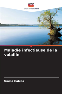 Maladie infectieuse de la volaille