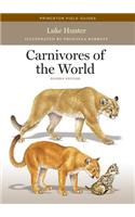 Carnivores of the World