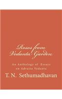 Roses from Vedanta Garden