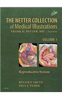 Netter Collection of Medical Illustrations: Reproductive System