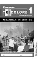 Encore Tricolore Nouvelle Edition 1 Grammar in Action