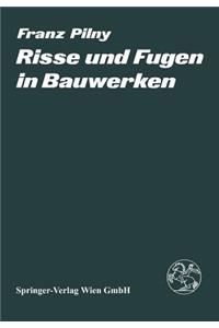 Risse und Fugen in Bauwerken