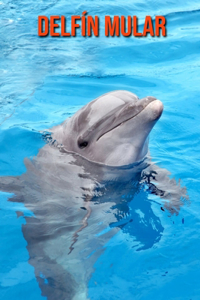 Delfín mular
