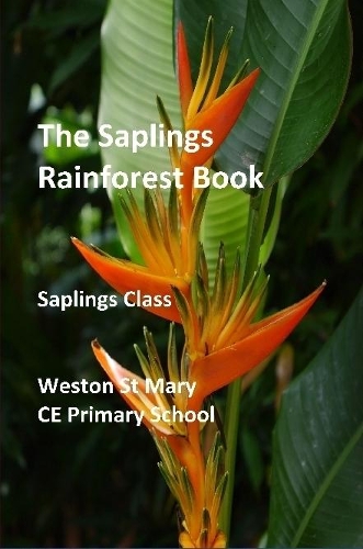 Saplings Rainforest Book