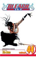Bleach, Vol. 44