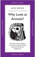 Why Look at Animals?