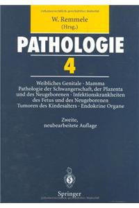 Pathologie 4
