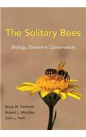 Solitary Bees