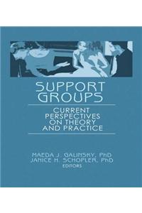 Support Groups: Current Perspectives on Theory and Practice